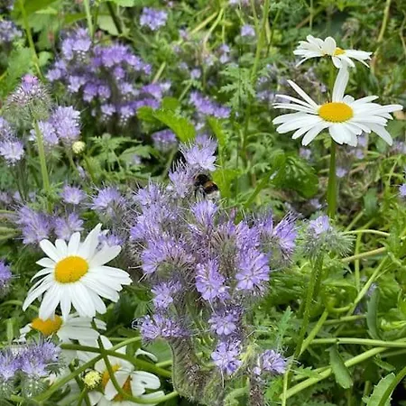 Seaside Flat With Private Garden * Scarborough